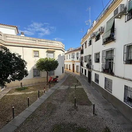 El Patio De Dona Engracia * Cordoue